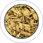 Daruharidra Rasakriya