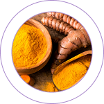 Haridra (Curcuma longa Linn.) 