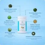 Madhuhar Churna - Image 4