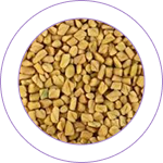 Methika (Trigonella foenum-graecum) 