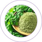 Moringa Extract