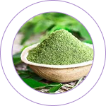 Moringa Powder