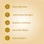 Spondolord Tablet - Image 3