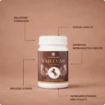 Vajeevan Avalehya - Image 2