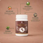 Vajeevan Avalehya - Image 4