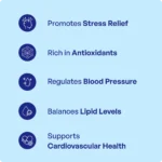 Arjuna Churna (90Gms) -Ayurvibes - Image 3