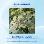 Bakuchi Churna (90gms) – Ayurvibes - Image 4