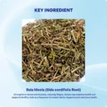 Balamula Churna (90gms) – Ayurvibes - Image 4