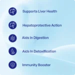 Bhumi Amalaki Churna (90Gms) – Ayurvibes - Image 3