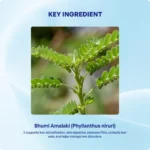 Bhumi Amalaki Churna (90Gms) – Ayurvibes - Image 4