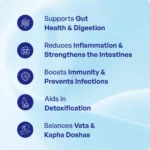 Bilva Churna (90Gms) -Ayurvibes - Image 3