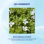 Brahmi Churna (90Gms) – Ayurvibes - Image 4