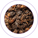 Musta (Cyperus Rotundus) 