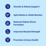 Gokshura Churna (90Gms) – Ayurvibes - Image 3