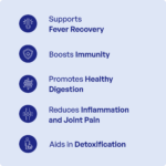 Guduchi Churna (90Gms) - Ayurvibes - Image 3