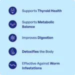 Kanchanara Churna (90Gms) -Ayurvibes - Image 3