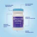 Kapikacchu Churna (90Gms) – Ayurvibes - Image 2