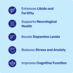 Kapikacchu Churna (90Gms) – Ayurvibes - Image 3