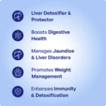 Katuki Churna (90Gms) – Ayurvibes - Image 3