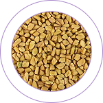 Methika (Trigonella foenum-graecum)