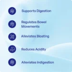 Musta Churna (90Gms) – Ayurvibes - Image 3