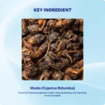 Musta Churna (90Gms) – Ayurvibes - Image 4