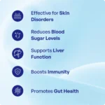 Nimba Churna (90Gms) – Ayurvibes - Image 3