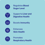 Nisamalaki Churna (90Gms) – Ayurvibes - Image 3