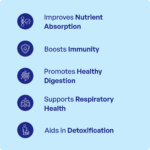 Pippali Churna (90Gms) - Ayur Vibes - Image 3