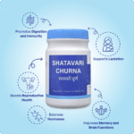 Shatavari Churna (90Gms) – Ayurvibes - Image 2