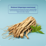 Shatavari Churna (90Gms) – Ayurvibes - Image 4