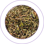 Bala Moola (Sida cordifolia Root)