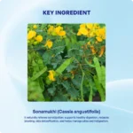 Sonamukhi Churna (90Gms) -Ayurvibes - Image 4