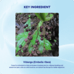 Vidanga Churna (90Gms) – Ayurvibes - Image 4