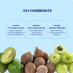 Triphala Churna (90Gms) – Ayurvibes - Image 4