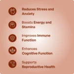 Ashwagandha 850mg 60Tabs – Ayur Vibes - Image 3