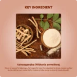 Ashwagandha 850mg 60Tabs – Ayur Vibes - Image 4
