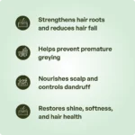 Hair Oil (100ml) – Ayurveda One - Image 3