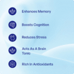 Brahmi Churna (90Gms) – Ayurvibes - Image 3