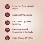 Brihatri Chintamani Rasa 250Mg (30Tabs) – Ayur Vibes - Image 3