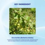 Daruharidra Churna (90Gms) – Ayurvibes - Image 4