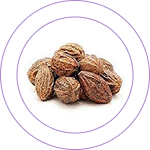 Erandabhrishta Balaharitaki 