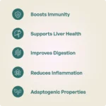 Guduchi Tablet 850 Mg (60tabs) – Ayur Vibes - Image 3