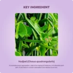 Hadjod Tablet 850Mg 60Tabs – Ayur Vibes - Image 4