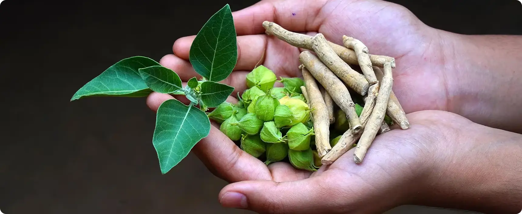 ayurvedic remedy for sleep