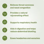 Jeevan Rasayana Ark 10ml - Ayurvibes - Image 3