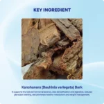 Kanchanara Churna (90Gms) -Ayurvibes - Image 4