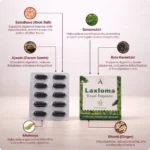 Laxloma Tablet 10 Tabs - Ayurvibes - Image 4