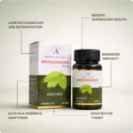 Madhunashini Tablet 850mg 60Tabs – Ayur Vibes - Image 2