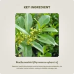 Madhunashini Tablet 850mg 60Tabs – Ayur Vibes - Image 4